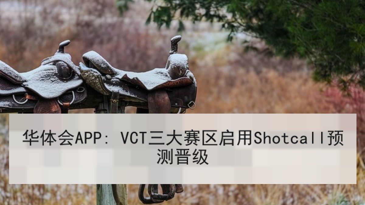 华体会APP: VCT三大赛区启用Shotcall预测晋级