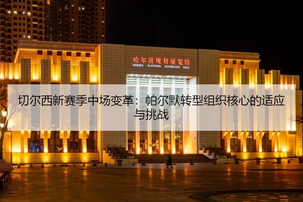 qie-er-xi-xin-sai-ji-zhong-chang-bian-ge-pa-er-mo-zhuan-xing-zu-zhi-he-xin-de-shi-ying-yu-tiao-zhan-3-350.jpg