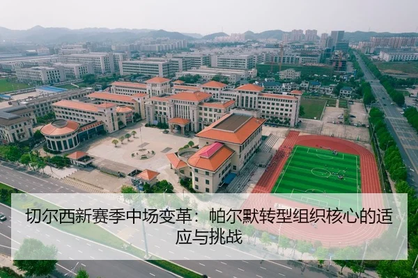 切尔西新赛季中场变革：帕尔默转型组织核心的适应与挑战