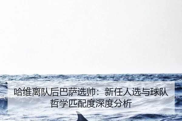 哈维离队后巴萨选帅：新任人选与球队哲学匹配度深度分析