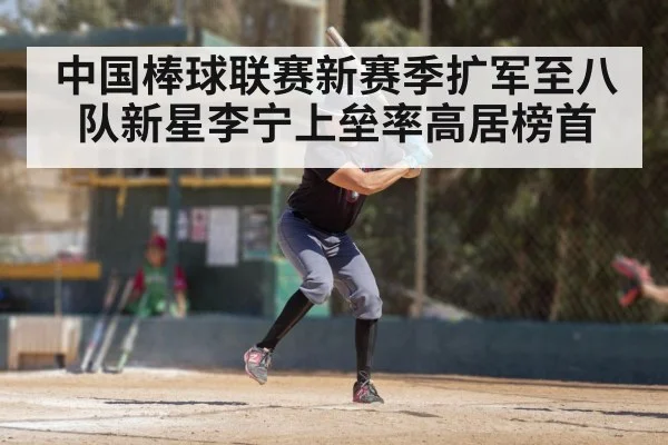 中国棒球联赛新赛季扩军至八队新星李宁上垒率高居榜首