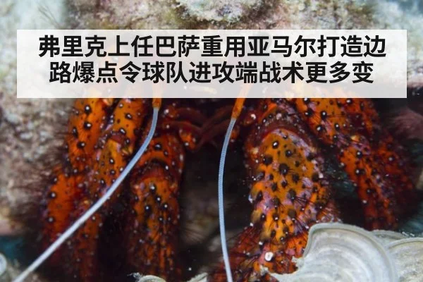 弗里克上任巴萨重用亚马尔打造边路爆点令球队进攻端战术更多变